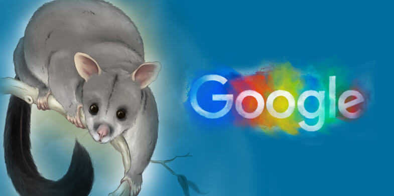 Google's Possum Update