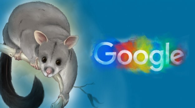 Google’s Possum Update Affects