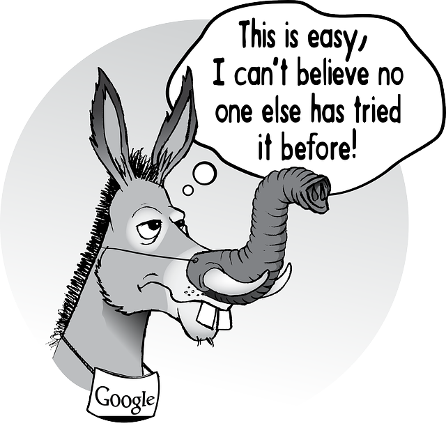 Google Donkey
