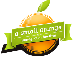 A Small Orange Logo