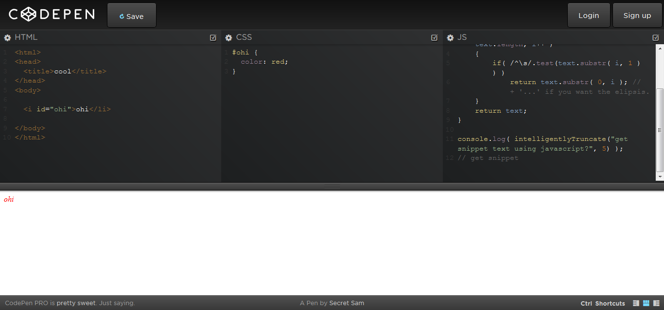 CodePen - Pen