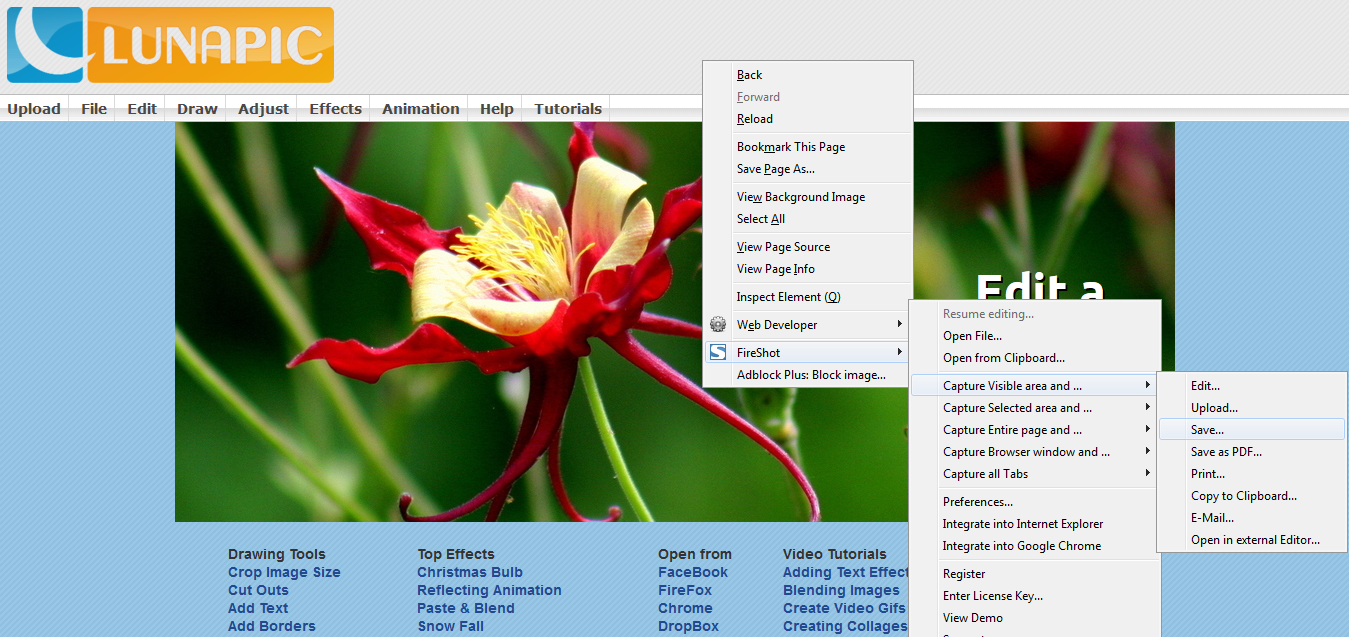 LunaPic, Free Online Photo Editor, png editor with transparency