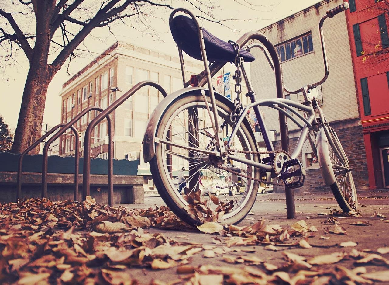 Vintage Bicycle Sepia