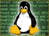 known linux bugs with do