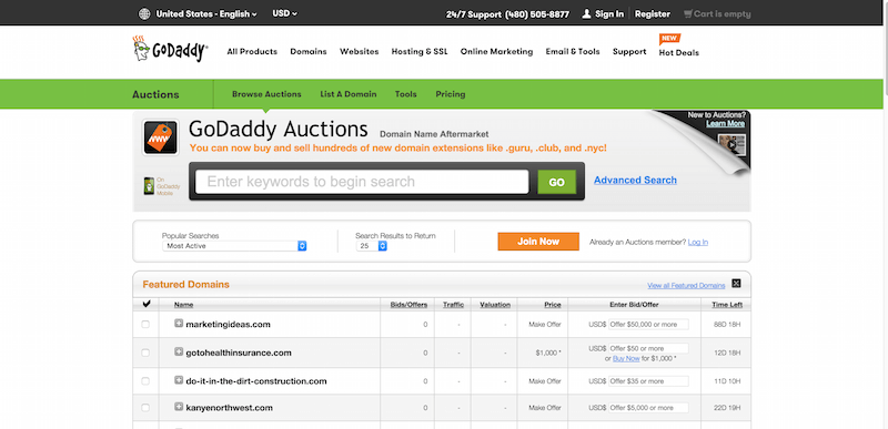 Domain Auction   Buy   Sell Distinctive Domains   GoDaddy