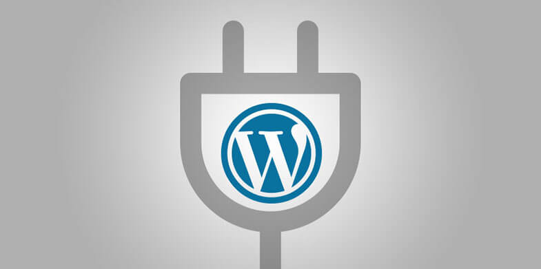 10-WordPress-Plugins-You-Should-Use-When-Doing-Your-On-Page-Optimization-785X391