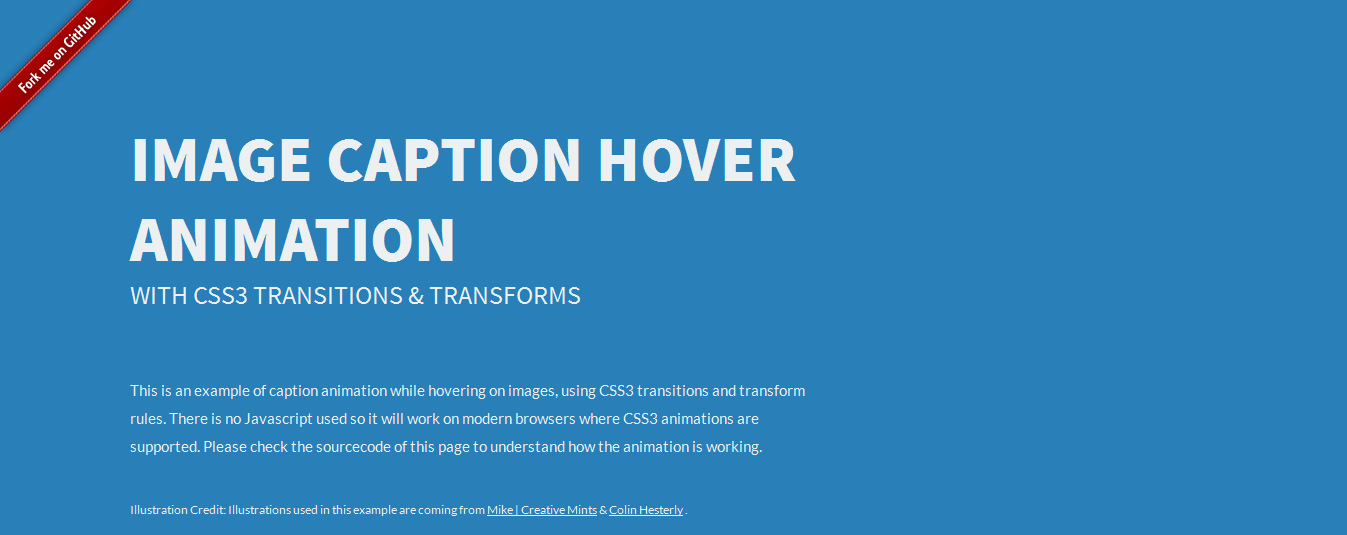 image-caption-hover-animation