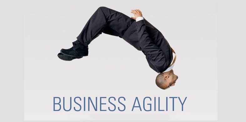 business agility - Successful Web Developers