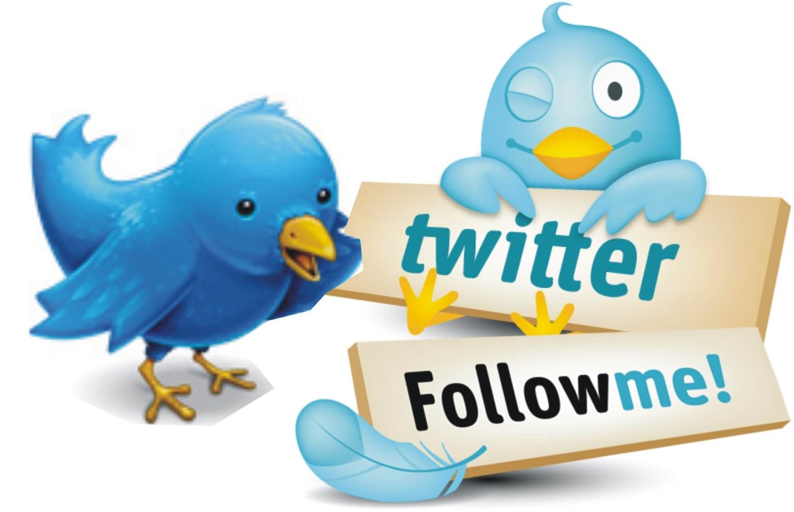 Twitter Follow Me