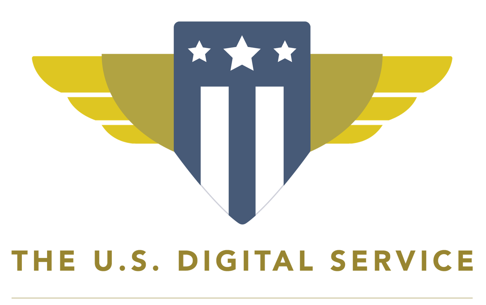 US Digital Service