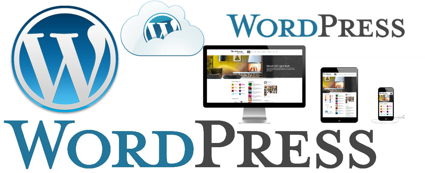 creating WordPress websites
