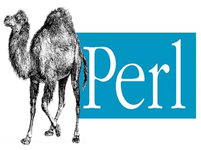 Perl Programming Languages