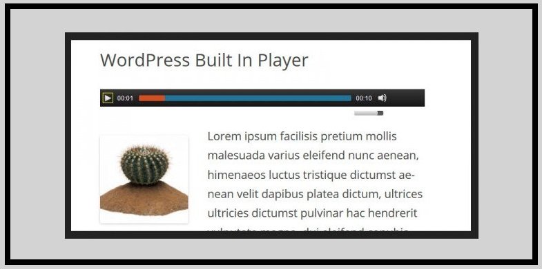 Wordpress Built in Player