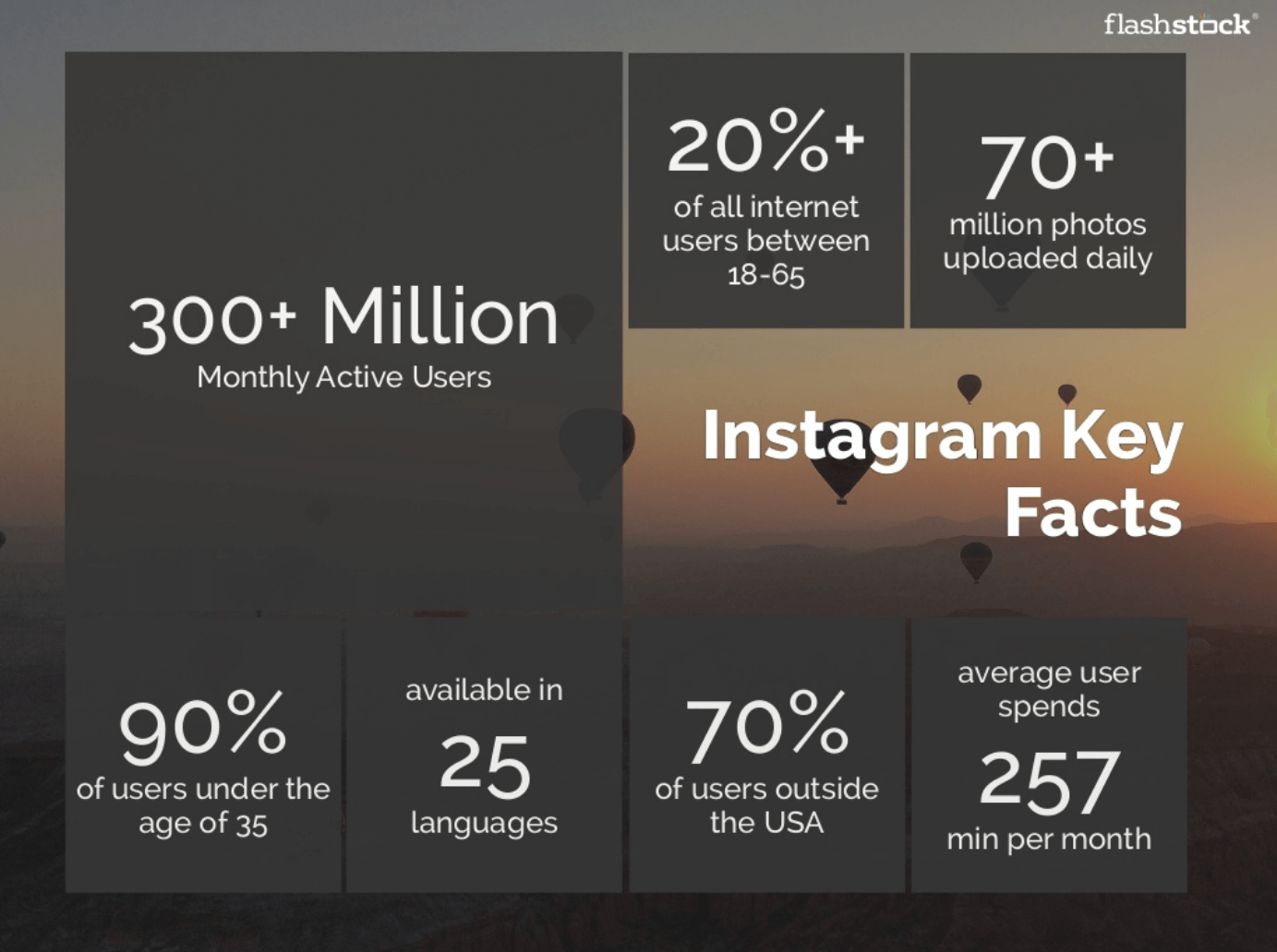 Average User of Instagram