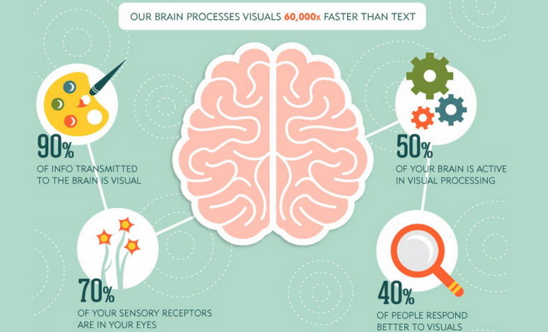 Brain Process Visual