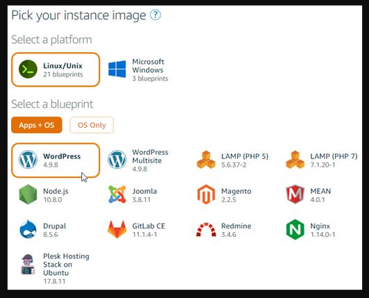 Select Your Instance Image
