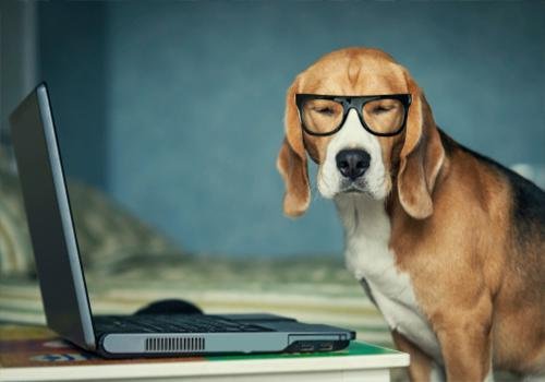9 Technology Trends That Will Move the Pet Industry through the Roof