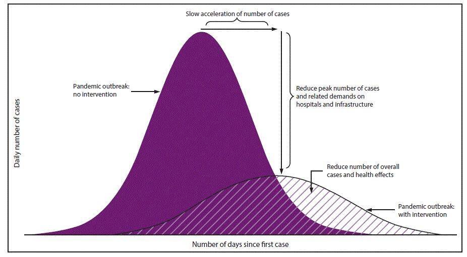 covid outbreak graph- 1