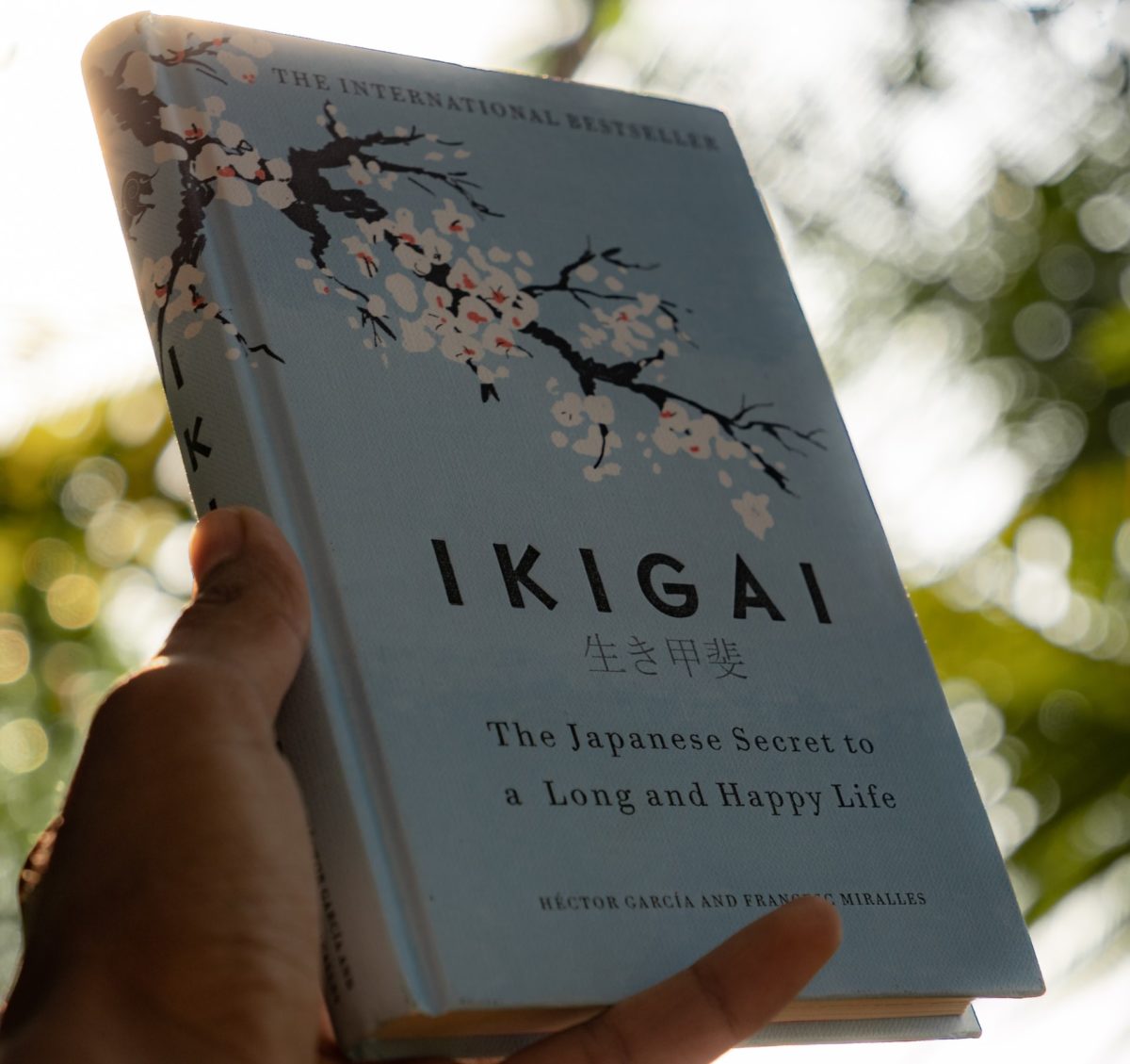 How to Find your Purpose in Life- The Ikigai Method