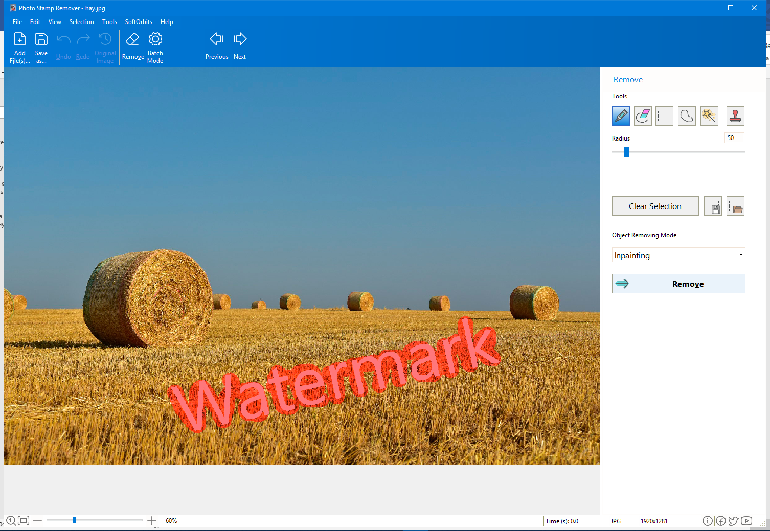 How To Remove Watermarks From Photos