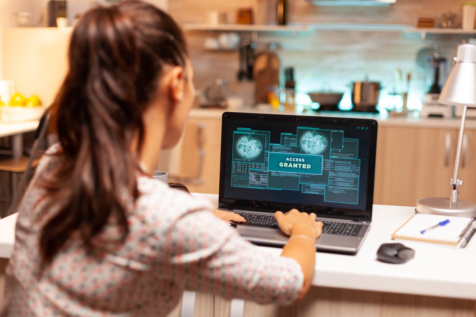 Small Business Cybersecurity